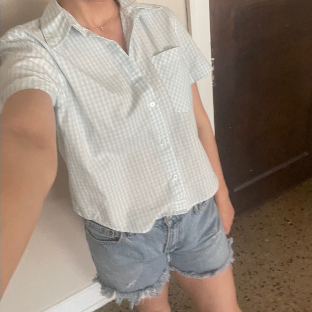 Aritzia blue gingham button up